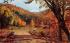 Autumn's Splendor Misc, Massachusetts Postcard