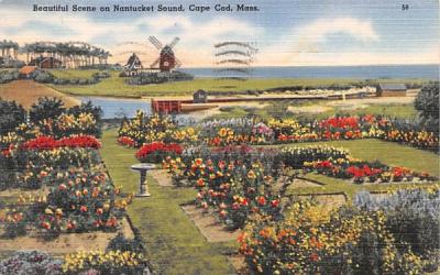 Beautiful Scene on Nantucket Sound Massachusetts Postcard
