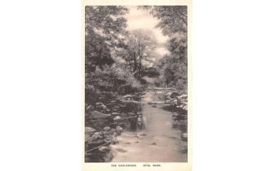 The Maplewood Otis, Massachusetts Postcard