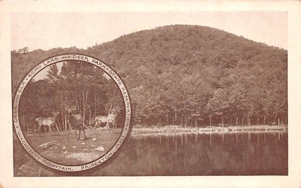 Wachusett Mountain Princeton, Massachusetts Postcard
