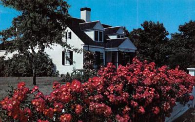 Cape Cod Cottage & Roses Provincetown, Massachusetts Postcard