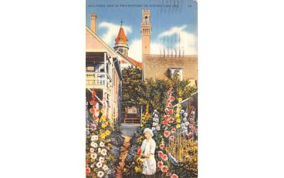 Hollyhock Lane Provincetown, Massachusetts Postcard