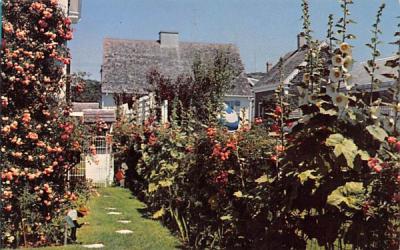 Old Fashioned Garden Provincetown, Massachusetts Postcard