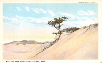 Cape Cod Sand Dunes Provincetown, Massachusetts Postcard