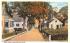Cook Street Provincetown, Massachusetts Postcard
