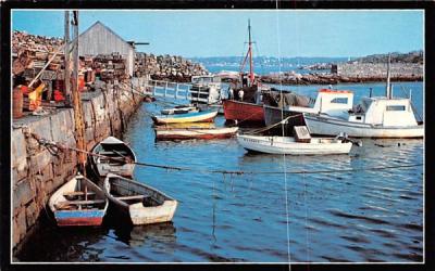 Pigeon Cove Harbor Rockport, Massachusetts Postcard