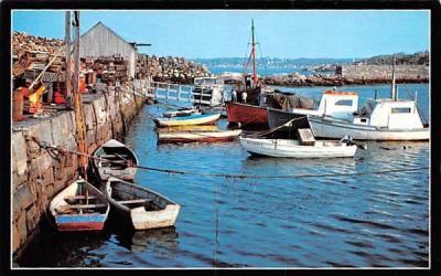 Pifeon Cove Harbor Rockport, Massachusetts Postcard