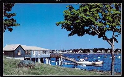 Salem Willows Park Massachusetts Postcard