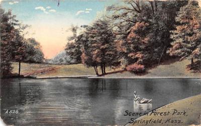 Scene in Forest Park Springfield, Massachusetts Postcard