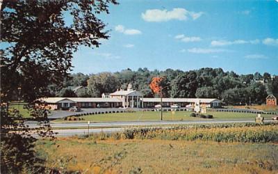 Black Horse Motel Springfield, Massachusetts Postcard