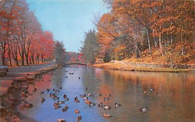 Beautiful Forest Park Springfield, Massachusetts Postcard