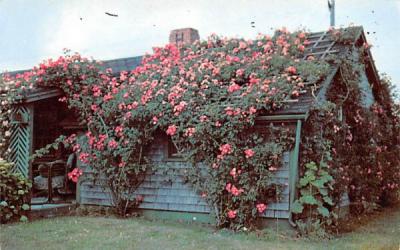 Crows Nest Cottage Siasconset, Massachusetts Postcard