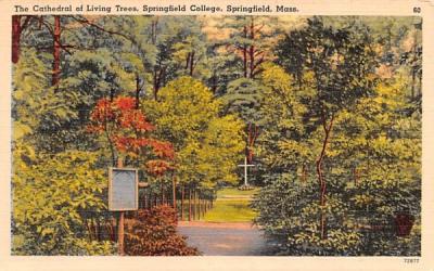 The Cathedral of Living Trees Springfield, Massachusetts Postcard