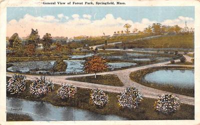General View of Forest Park Springfield, Massachusetts Postcard