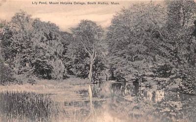 Lily Pond  South Hadley, Massachusetts Postcard
