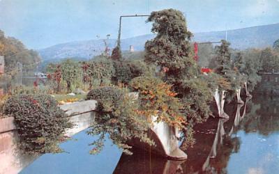 The Bridge of Flowers Shelburne Falls, Massachusetts Postcard