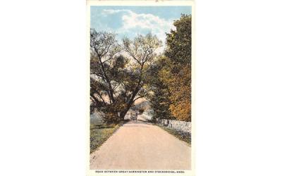 Road Between Great Barrington & Stockbridge Massachusetts Postcard