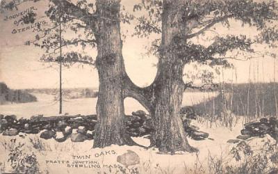 Twin Oaks Sterling, Massachusetts Postcard