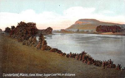 Conn. River  Sunderland, Massachusetts Postcard