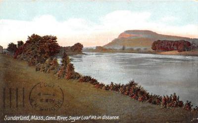 Conn. River  Sunderland, Massachusetts Postcard
