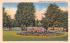 Paddle Pond Springfield, Massachusetts Postcard
