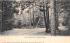 View in Forest Park Springfield, Massachusetts Postcard