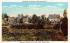 Dwellings of Settlers Salem, Massachusetts Postcard