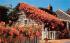 Typical Rose Covered Cottage Siasconset, Massachusetts Postcard
