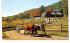 The Pliny Freeman Farmhouse Sturbridge, Massachusetts Postcard