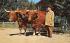 The farmer with his ox cart & oxen Sturbridge, Massachusetts Postcard