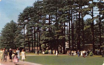 Entering the Grounds at Tanglewood Massachusetts Postcard