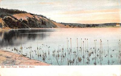 Gull Pond Wellfleet, Massachusetts Postcard