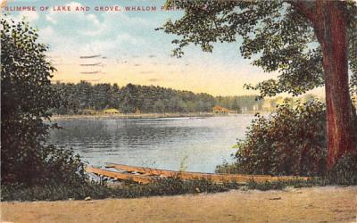 Glimpse of Lake & Grove Whalom Park, Massachusetts Postcard