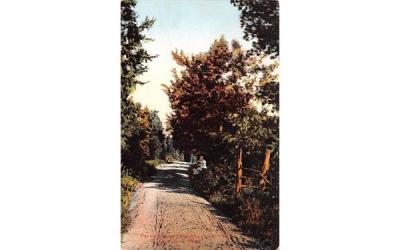 One of Whalom's beautiful drives Whalom Park, Massachusetts Postcard