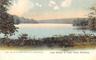 Lake Waban Wellesley, Massachusetts Postcard