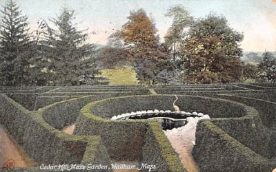 Cedar Hill Maze Garden Waltham, Massachusetts Postcard