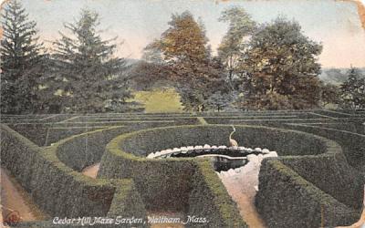 Cedar Hill Maze Garden Waltham, Massachusetts Postcard