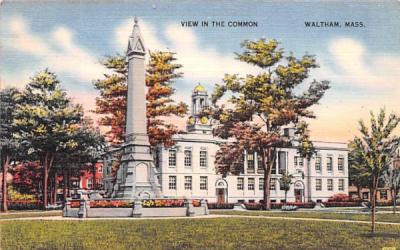 View in the Common Waltham, Massachusetts Postcard