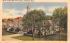 View of City Hall & Common  Waltham, Massachusetts Postcard