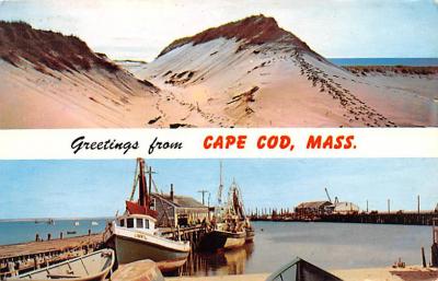 Cape Cod MA