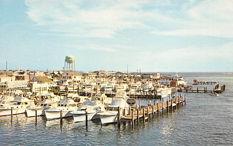 Famous Deep-Sea Sport Fishing Fleet Ocean City, Maryland MD Postcards