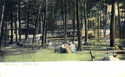 Lake Grove - Auburn, Maine ME Postcard