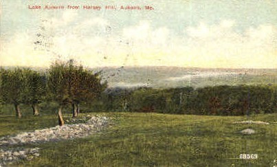 Lake Auburn - Maine ME Postcard