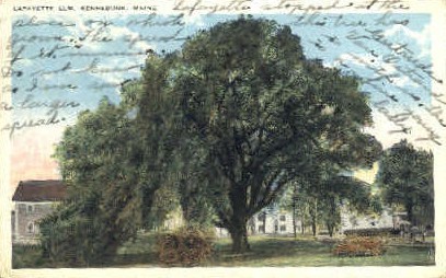 Lafayette Elm - Kennebunk, Maine ME Postcard