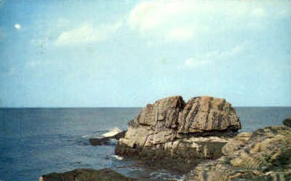 Bald Head Cliff - Ogunquit, Maine ME Postcard