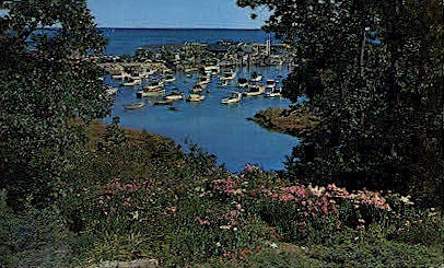 Perkins Cove  - Ogunquit, Maine ME Postcard