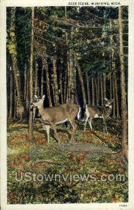 Deer Scene  - Munising, Michigan MI Postcard