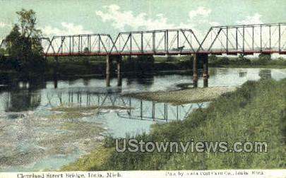 Cleveland Street Bridge - Ionia, Michigan MI Postcard