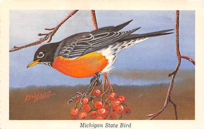 State Bird MI