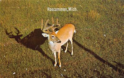 Roscommon MI